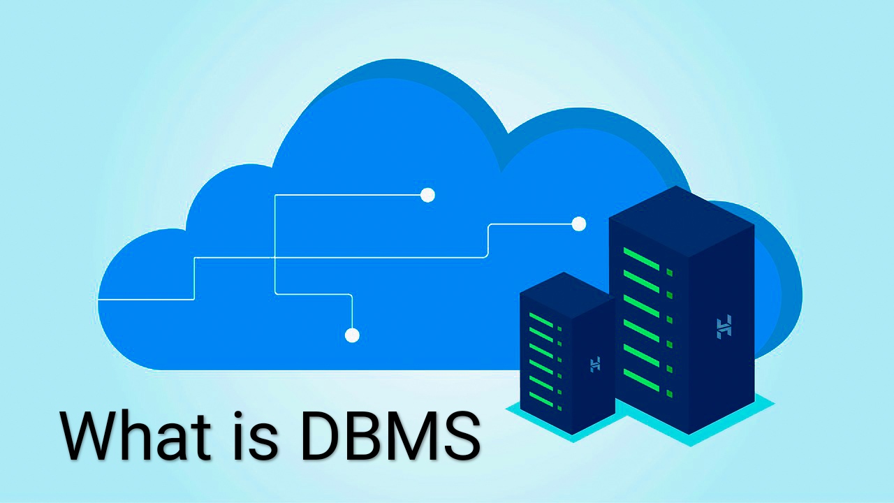 What is DBMS